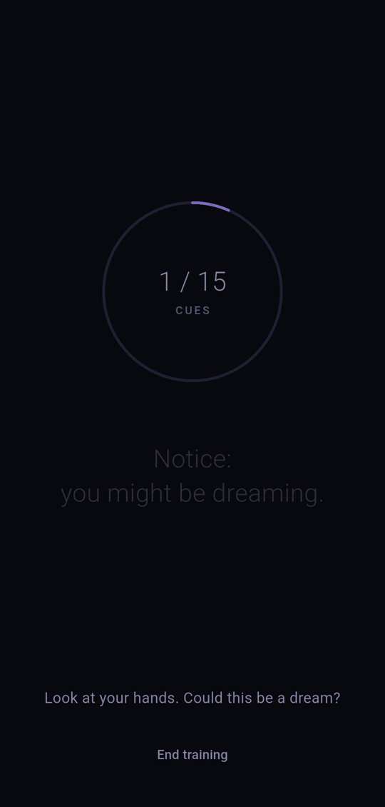 Lucid North — reality-check cue screen at night